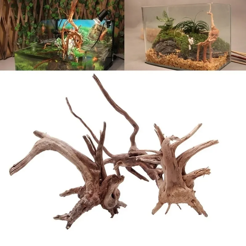 Live Plant Aquarium - Tronc d'Arbre Naturel en Bois Flotté