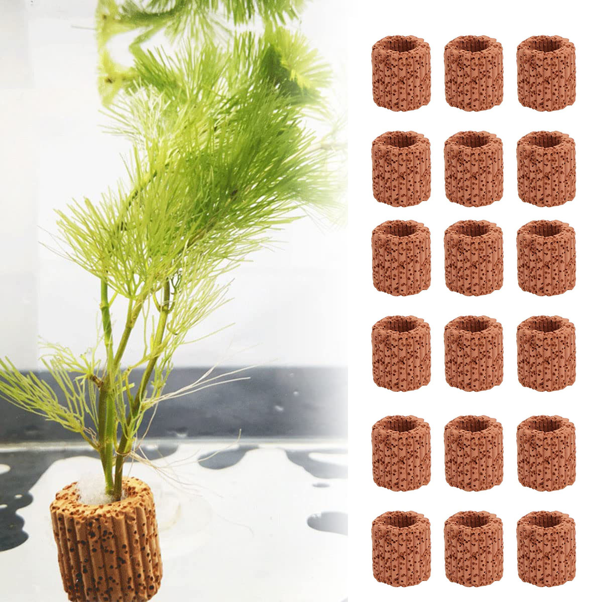 Aquarium Moss - Anneau de Base pour Plantes Aquatiques