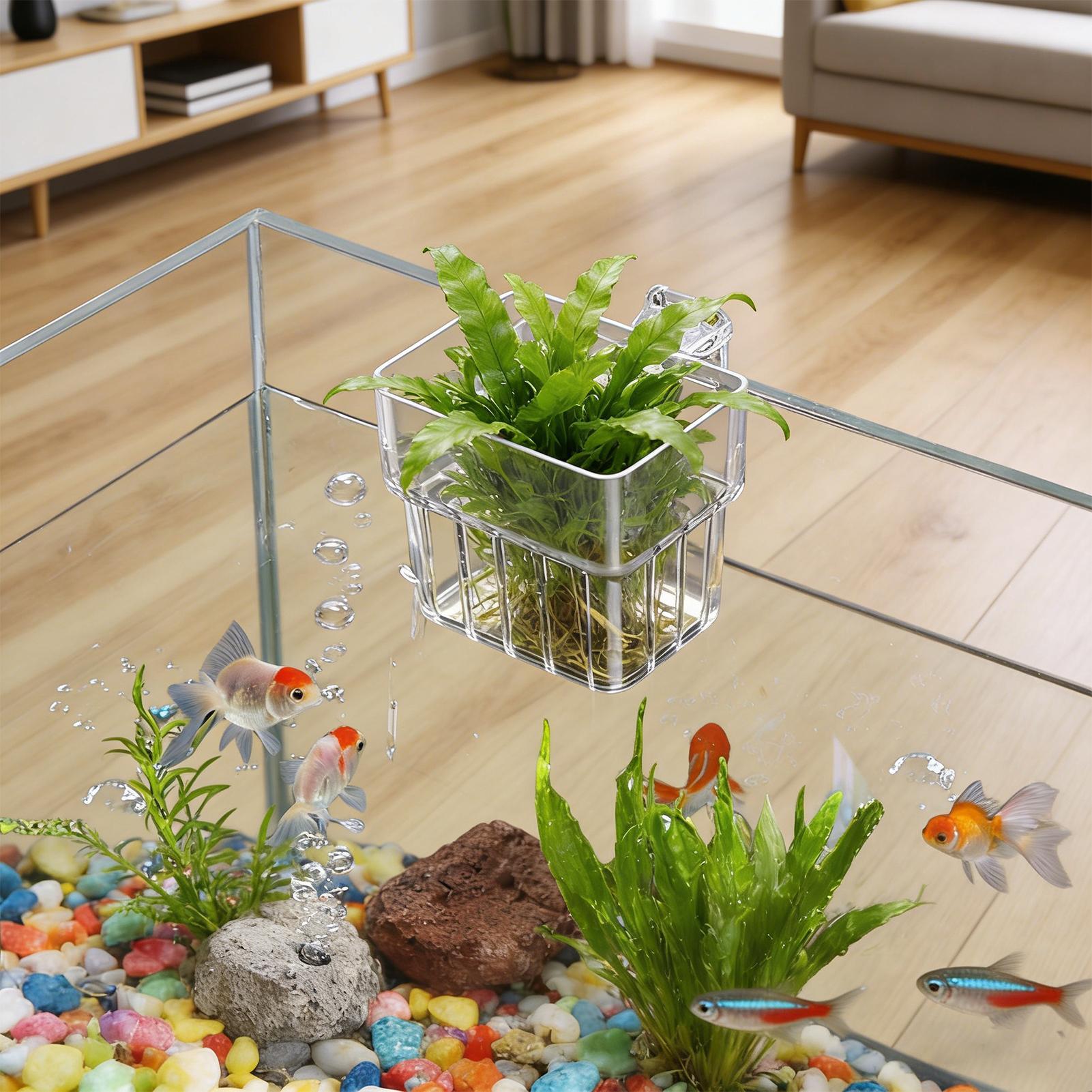 Aquarium Plant Holder - Panier fixe pour aquarium, paniers suspendus