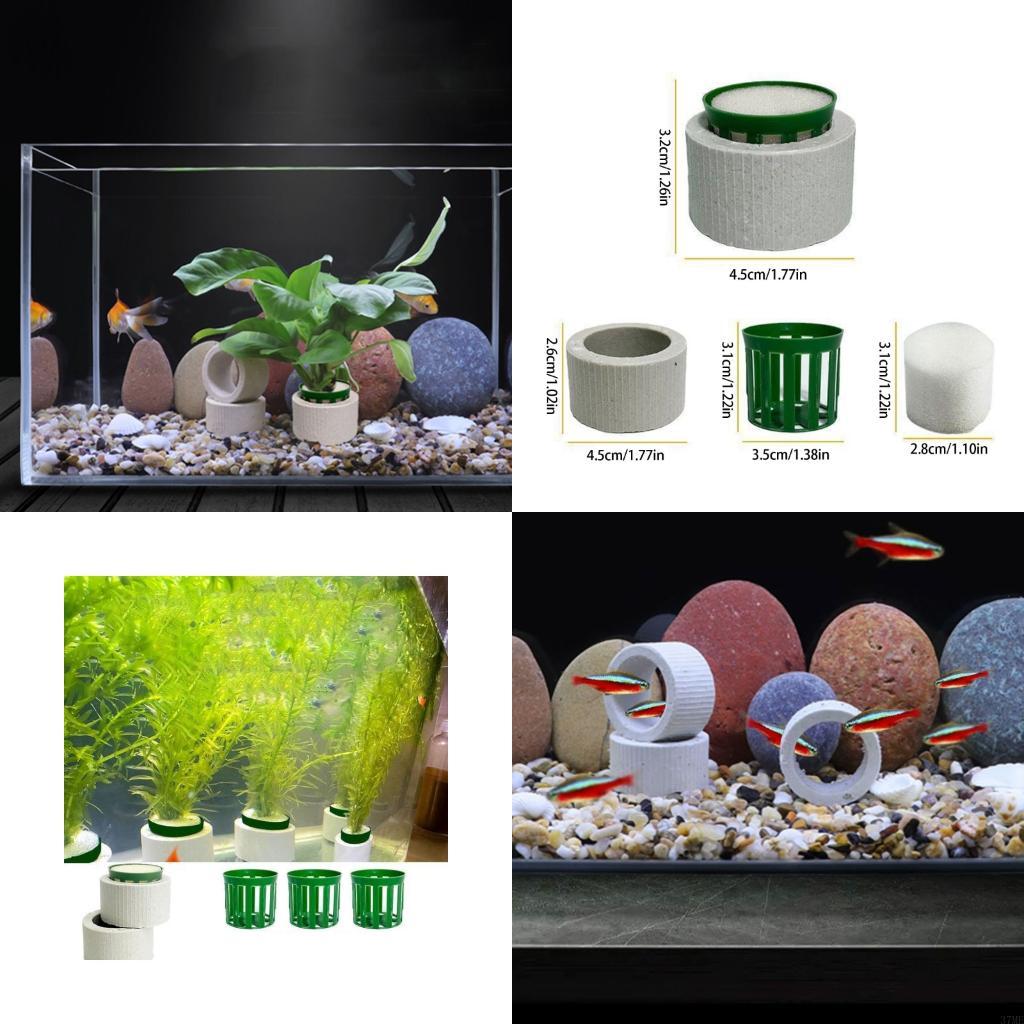 Aquarium Plant Holder - 37ME – ensemble d'anneaux fixes pour