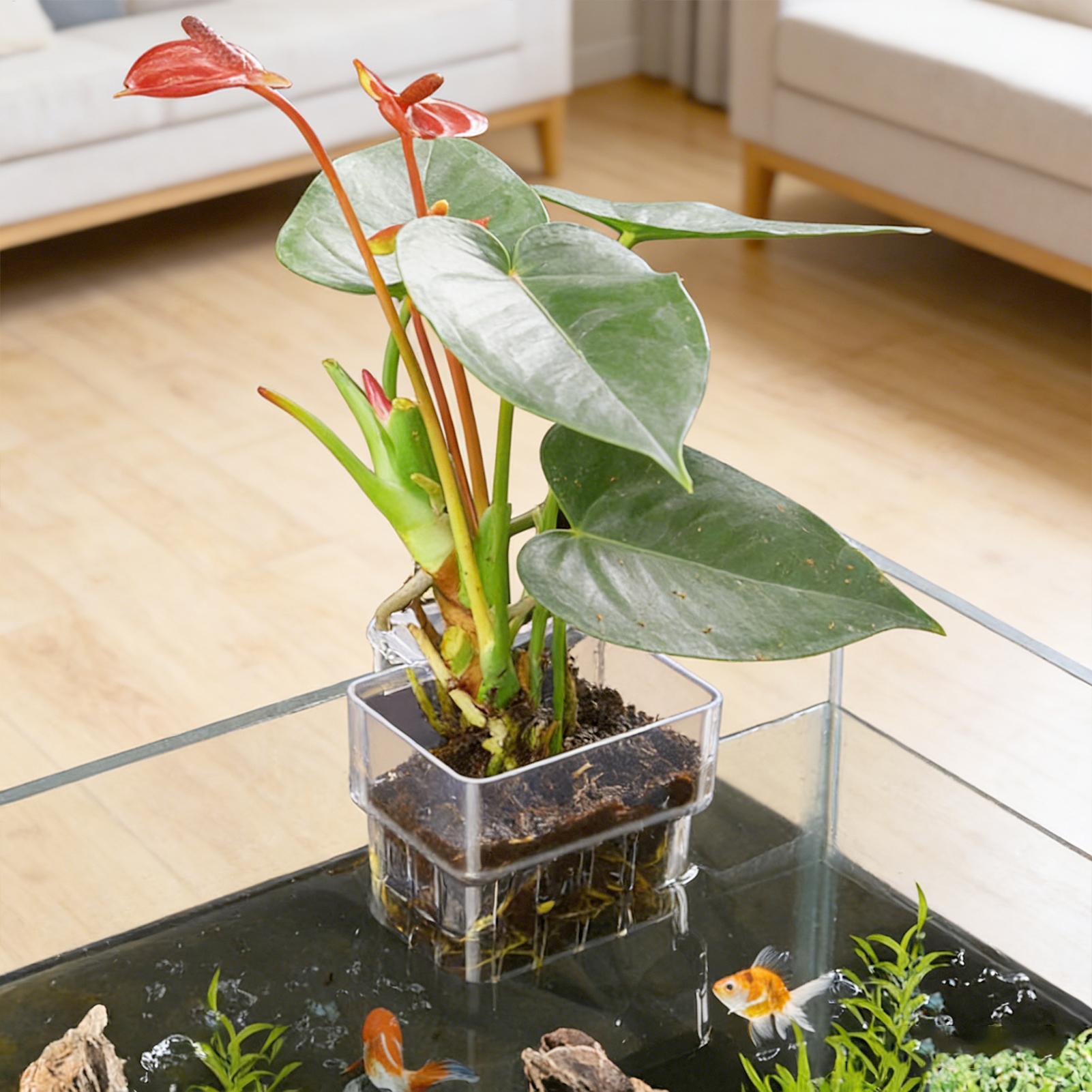 Aquarium Plant Holder - Panier pour plantes d'aquarium, décorations suspendues