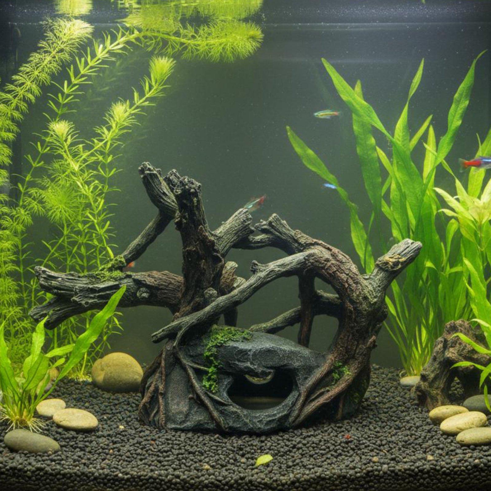 Aquarium Driftwood - Abri pour aquarium en résine, base