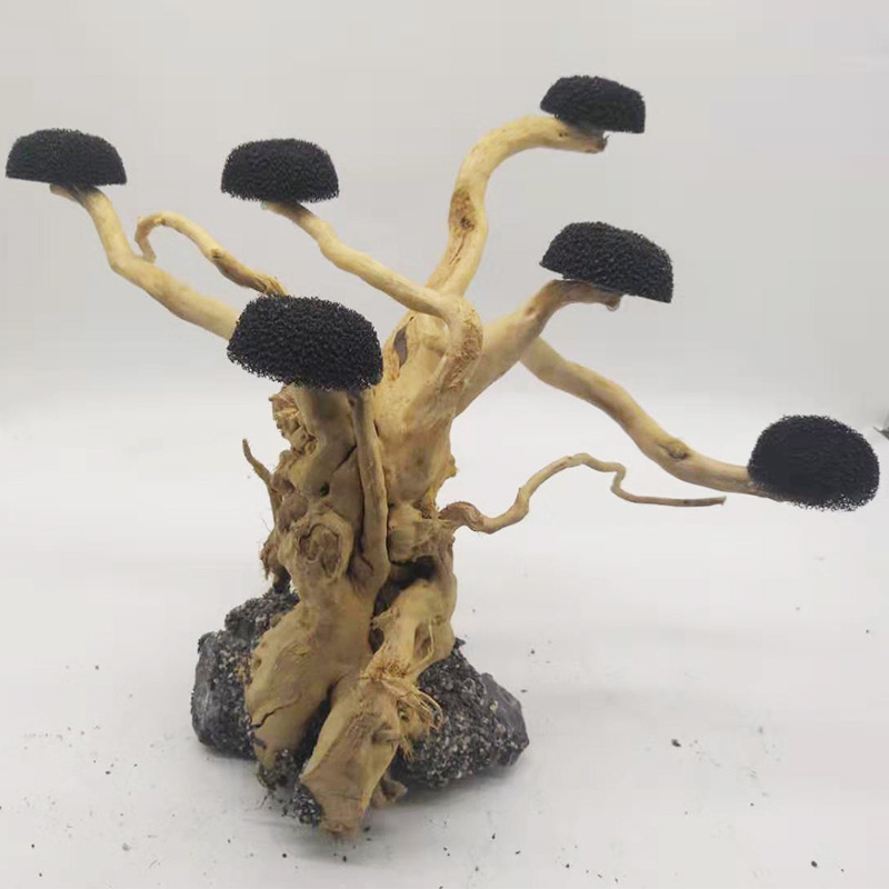 Aquarium Moss - Décoration en bois flotté pour aquarium,
