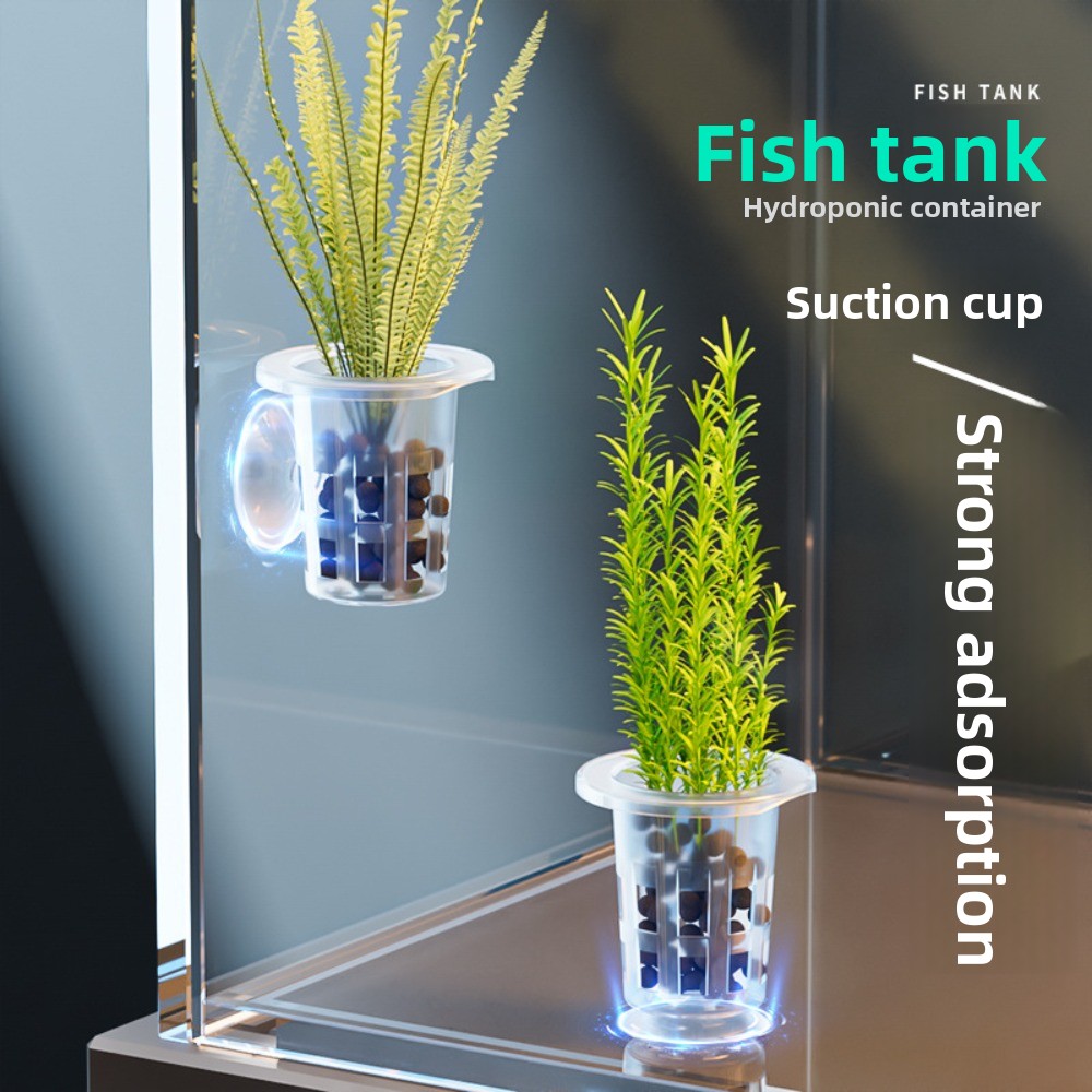 10 pots hydroponiques transpar - Aquarium Plants Live avis et prix