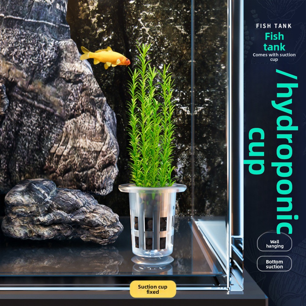 10 pots hydroponiques transpar - Aquarium Plants Live avis et prix