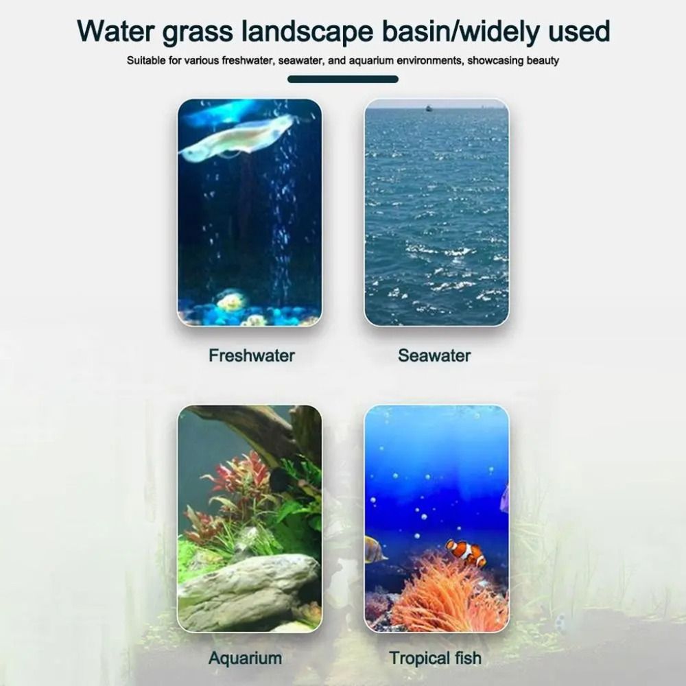 10 pots hydroponiques transpar - Aquarium Plants Live avis et prix