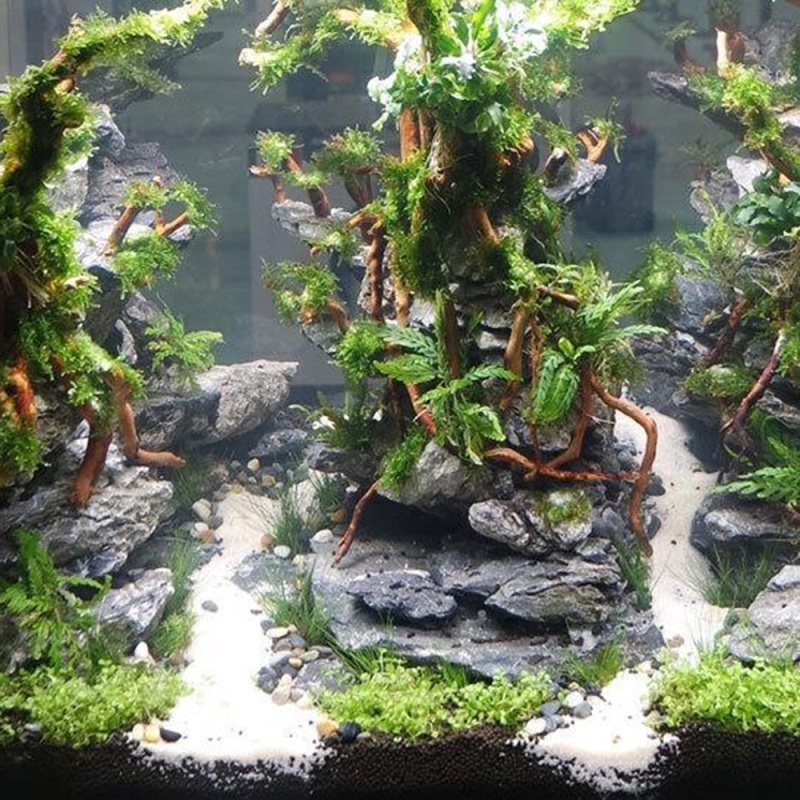 Tronc d'arbre naturel en bois  - Aquarium Driftwood avis et prix