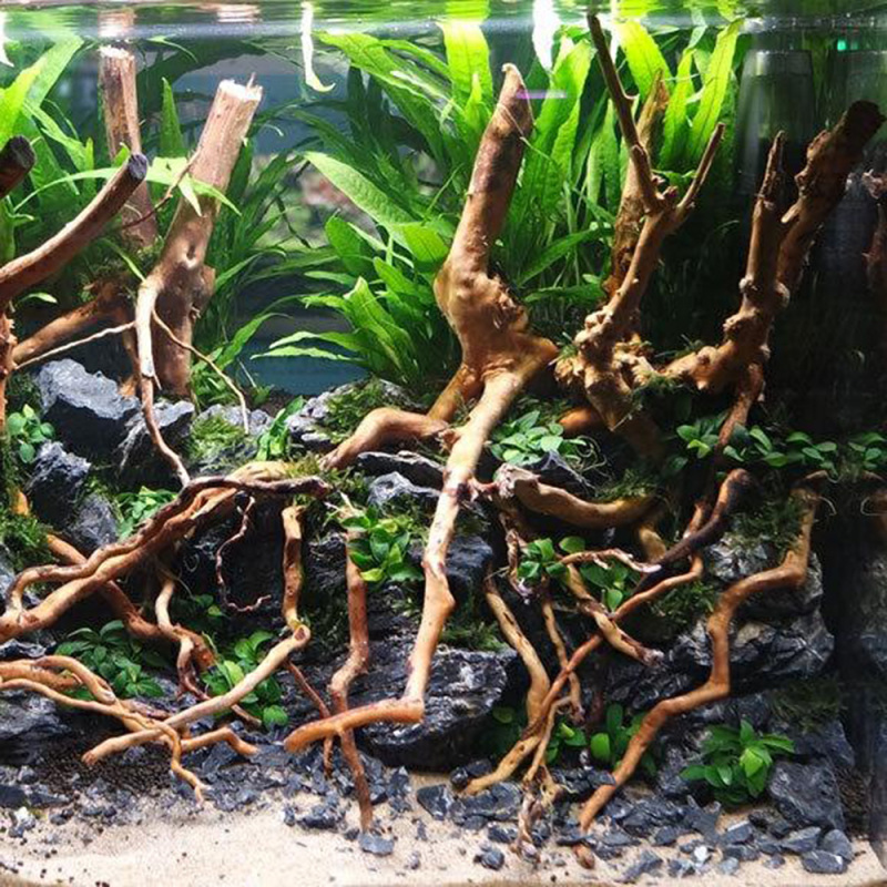 Tronc d'arbre naturel en bois  - Aquarium Driftwood avis et prix