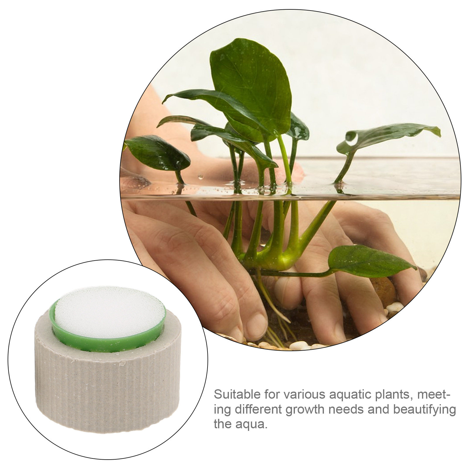 Ensemble de 9 supports en céra - Aquarium Plant Holder avis et prix