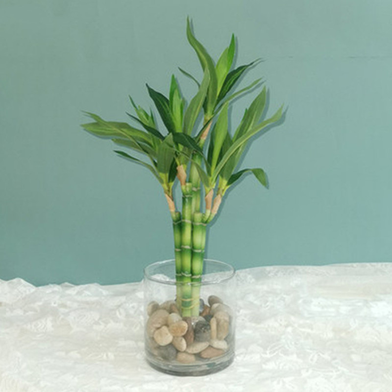 Nouvelle plante artificielle B - Plant Aquarium Pot avis et prix