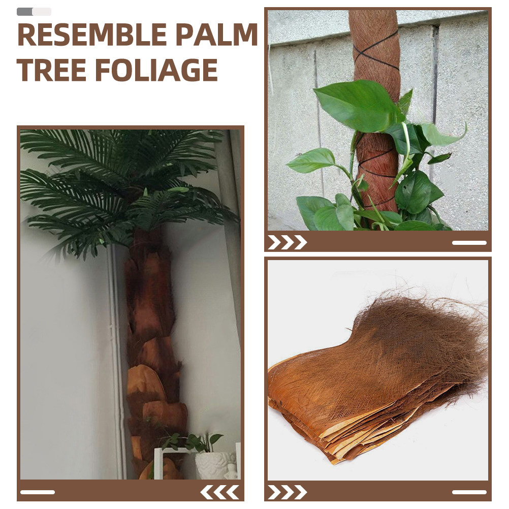 5 feuilles d'écorce de palmier - Plant Aquarium Pot avis et prix