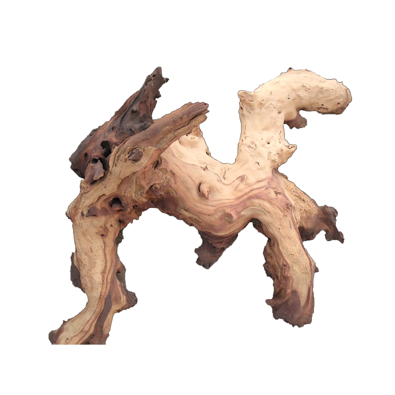 Bois flotté de racines de Mopa - Aquarium Driftwood avis et prix