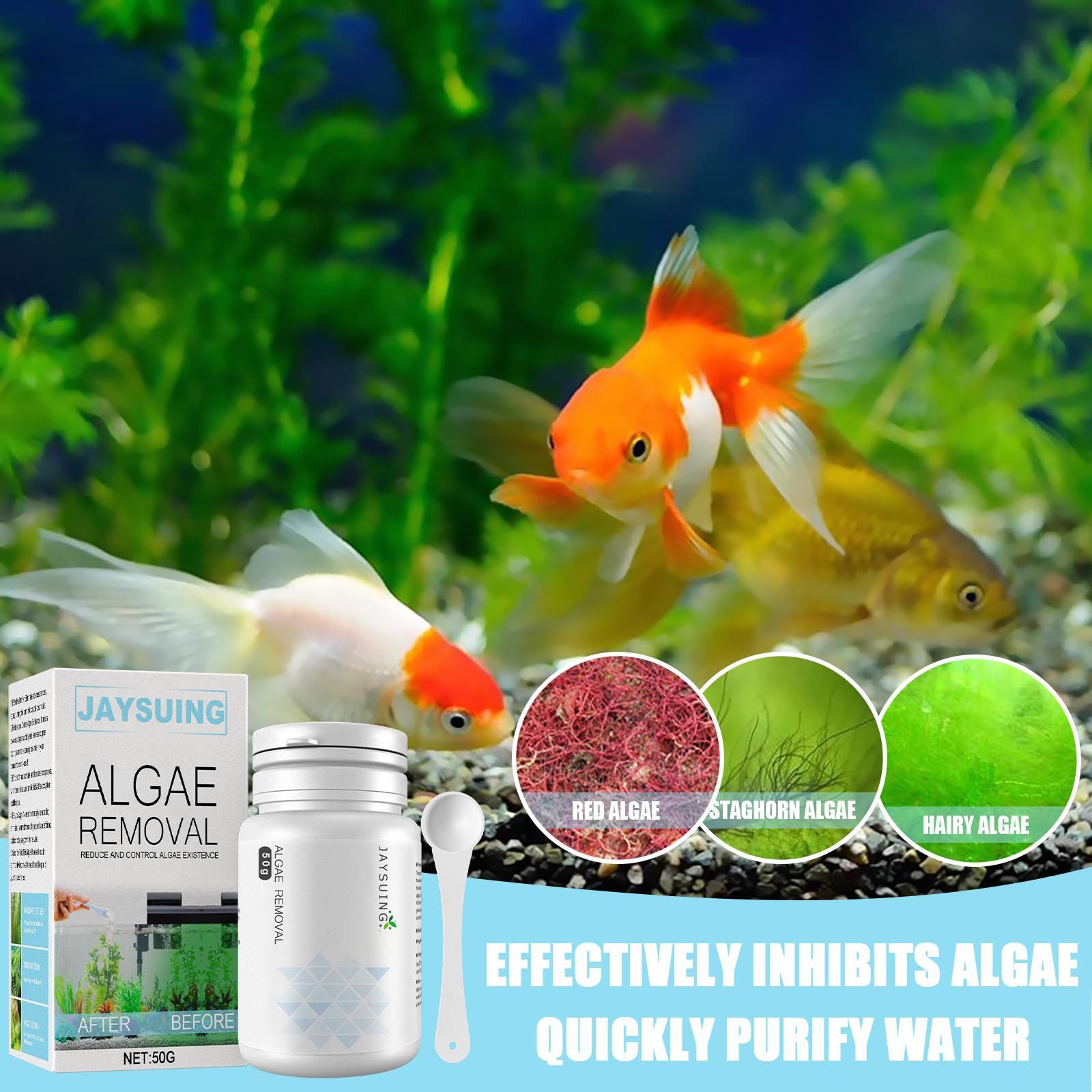 Poudre anti-algues pour aquari - Aquarium Moss avis et prix