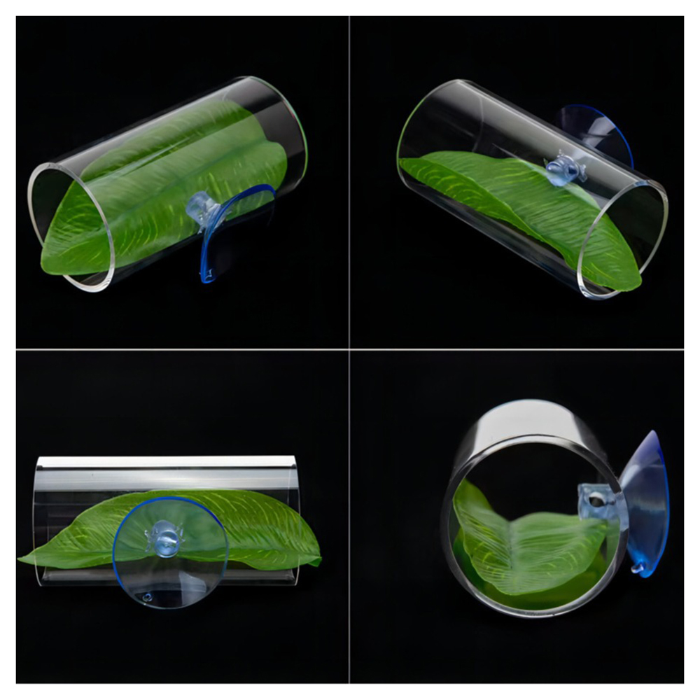 Tube acrylique pour Aquarium B - Live Plant Aquarium avis et prix