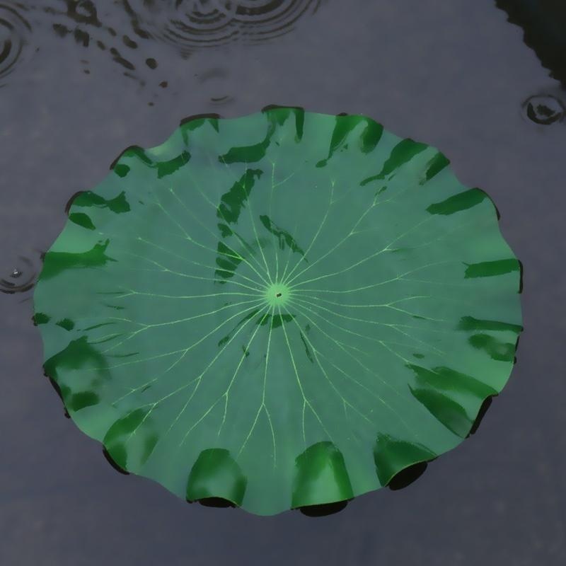 Nouvelles feuilles de lotus ar - Aquarium Plant Substrate avis et prix