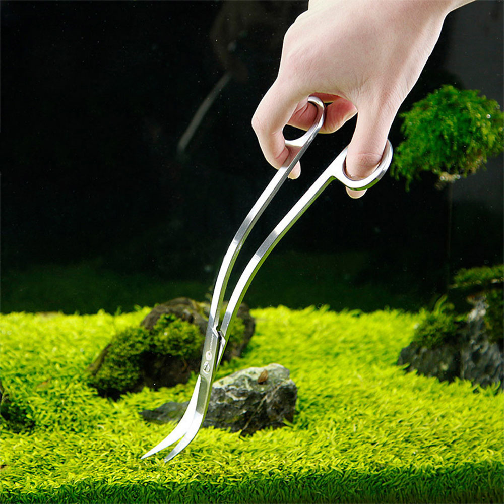 Accessoires d'aquarium en acie - Planted Aquarium Cleaning avis et prix