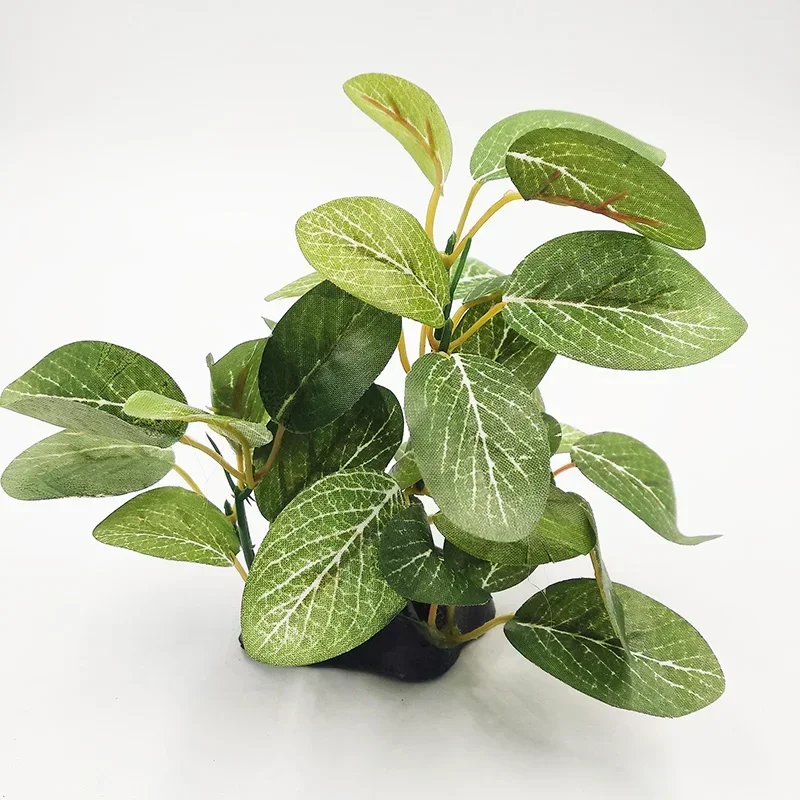 Décor de plante d'aquarium en  - Aquarium Plants Live avis et prix