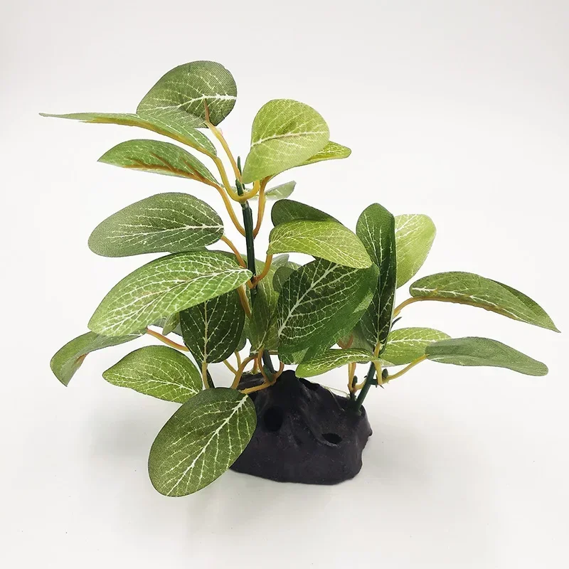 Décor de plante d'aquarium en  - Aquarium Plants Live avis et prix