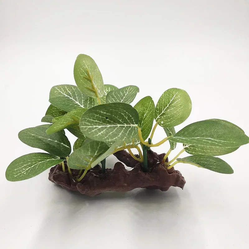 Décor de plante d'aquarium en  - Aquarium Plants Live avis et prix