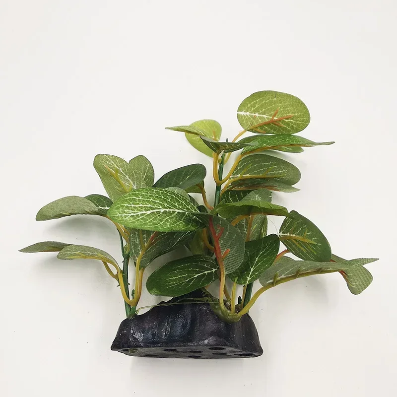 Décor de plante d'aquarium en  - Aquarium Plants Live avis et prix