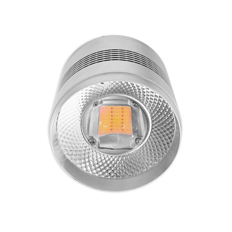 Lumière LED pour aquarium de 7 - Planted Aquarium Algae Control avis et prix