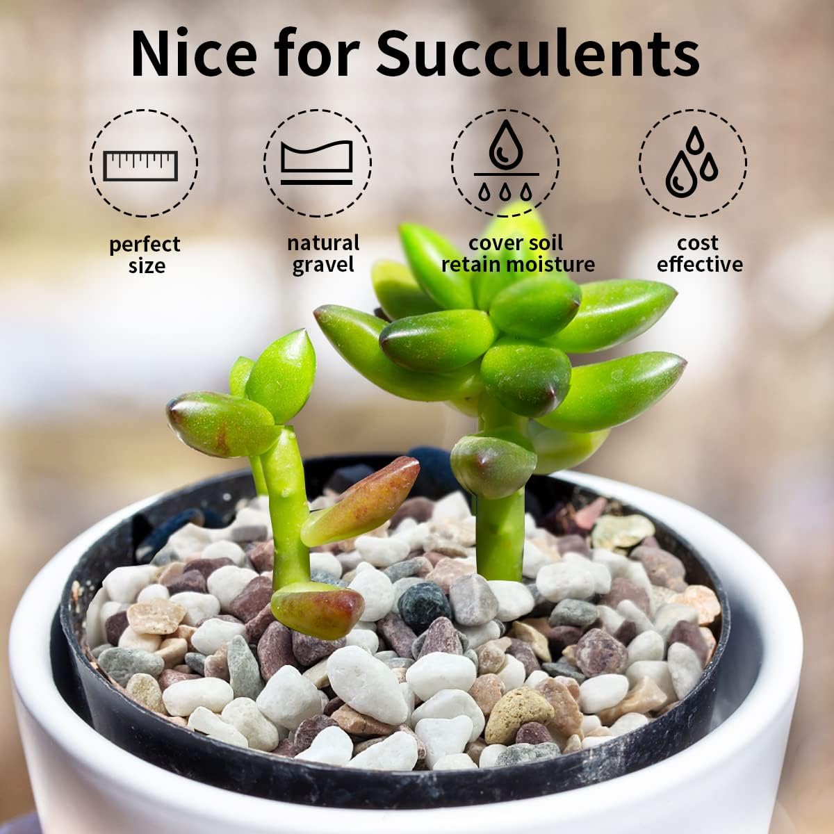 Gravier de couleurs mélangées, - Plant Aquarium Pot avis et prix