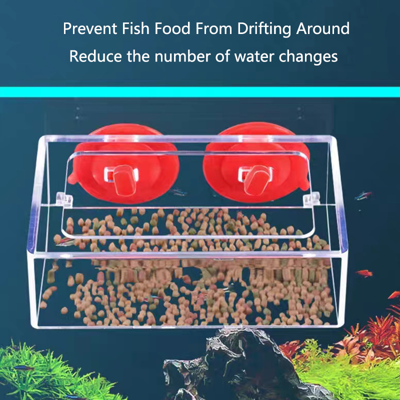 Anneau d'alimentation pour Aqu - Aquarium Fertilizer avis et prix