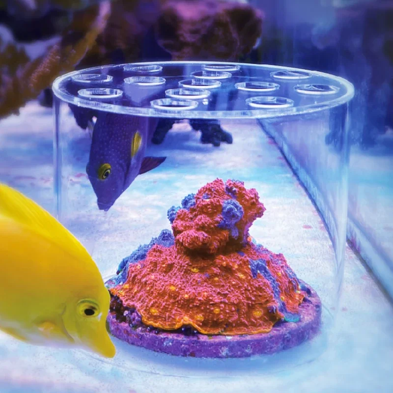 Vastocean – hotte d'alimentati - Aquarium Fertilizer avis et prix