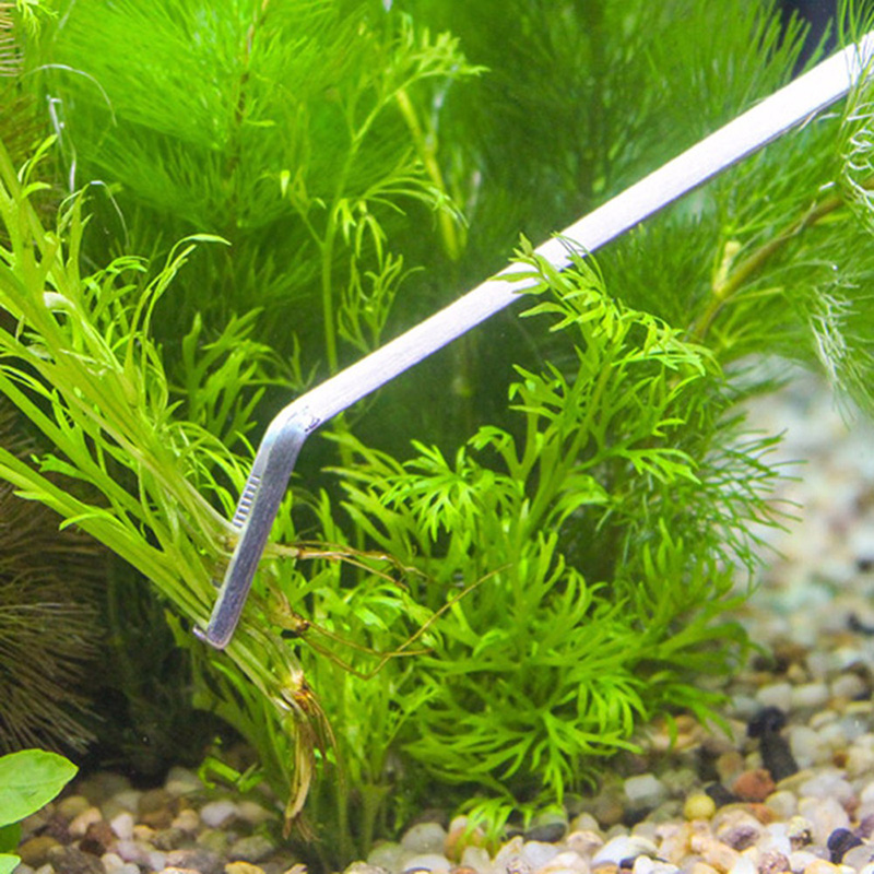 Kit d'outils professionnels po - Live Plant Aquarium avis et prix