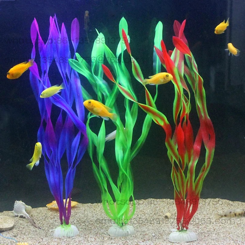 Plantes d'aquarium en plastiqu - Planted Tank avis et prix