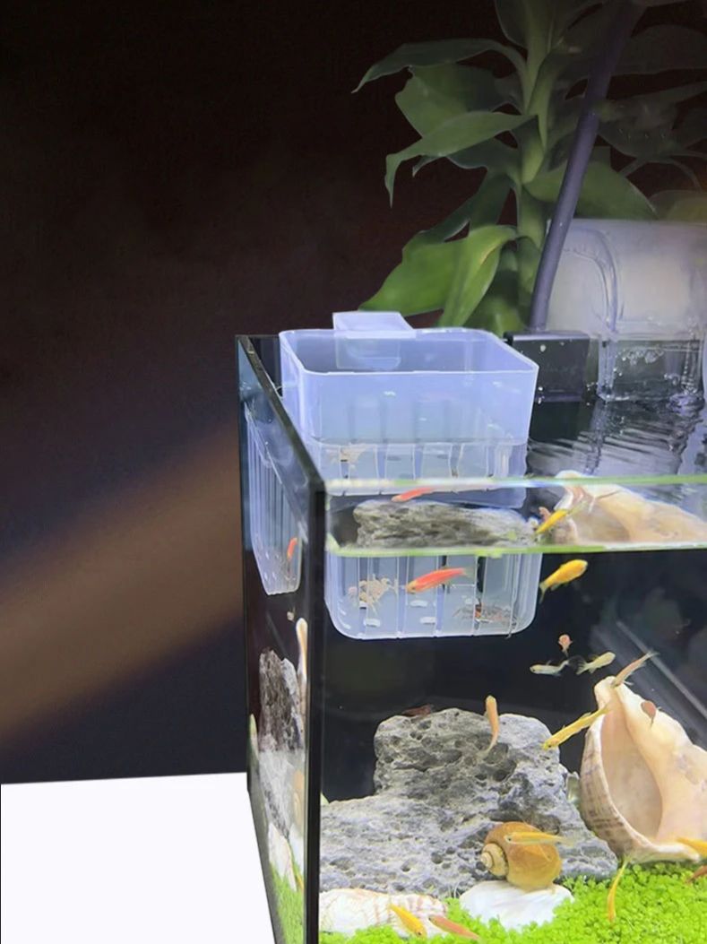 Panier hydroponique Transparen - Aquarium Plant Holder avis et prix
