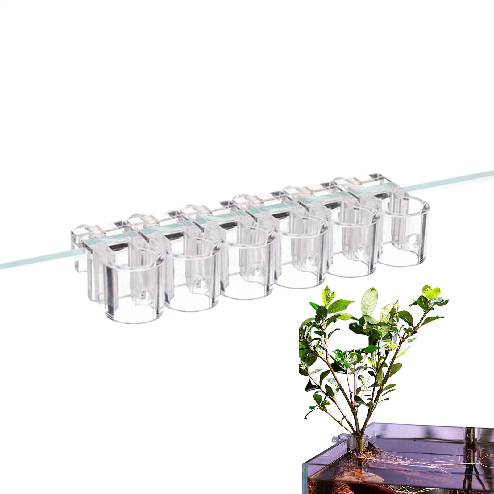 Panier pour plantes d'aquarium - Aquarium Plant Holder avis et prix