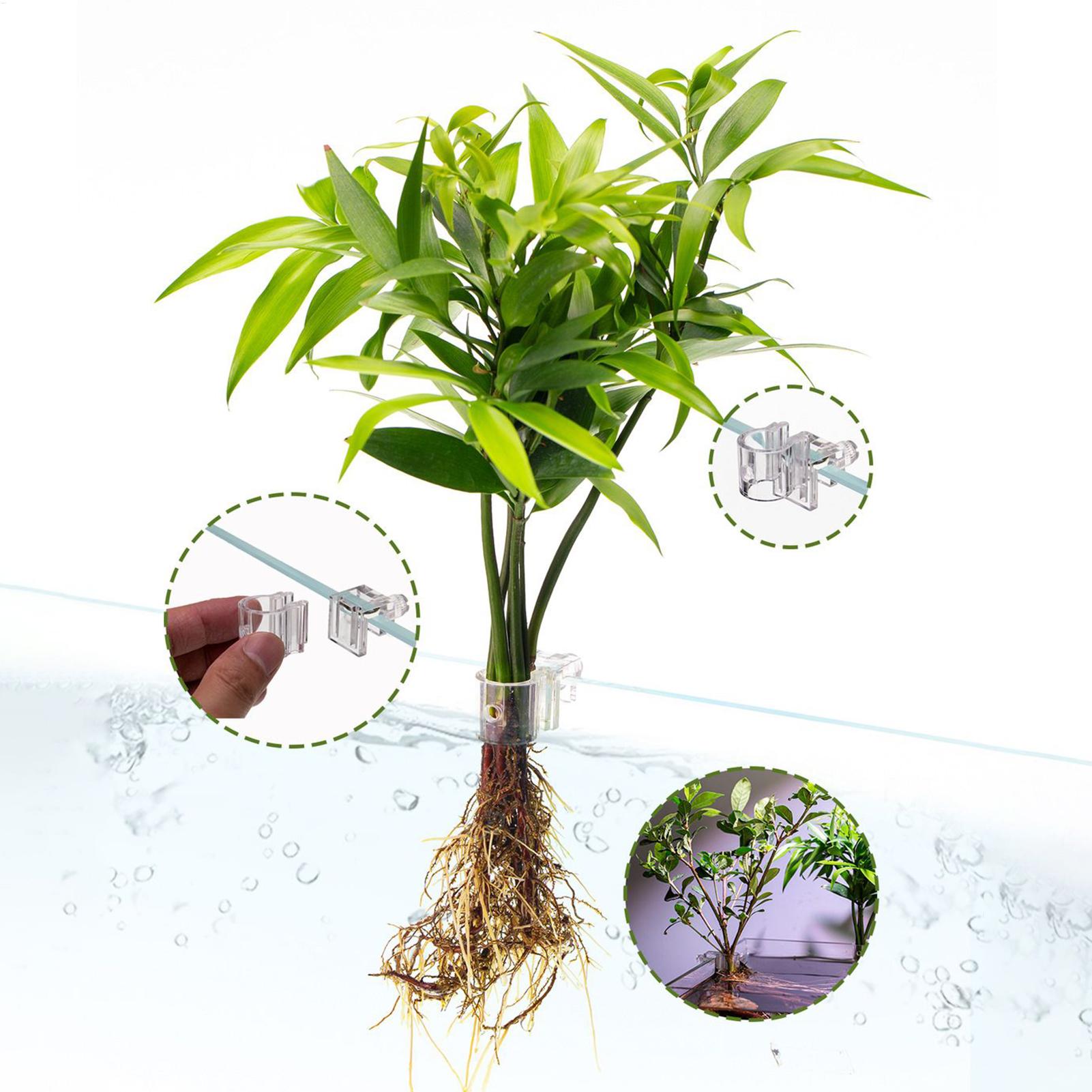 Panier pour plantes d'aquarium - Aquarium Plant Holder avis et prix