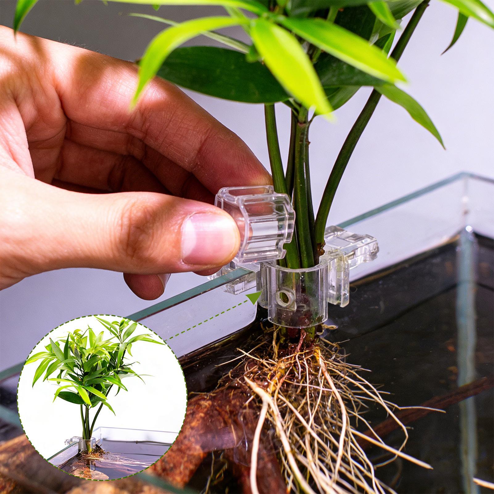 Panier pour plantes d'aquarium - Aquarium Plant Holder avis et prix