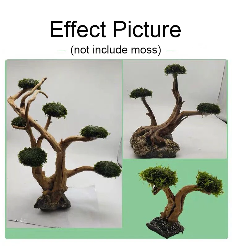 Décoration en bois flotté pour - Aquarium Moss avis et prix