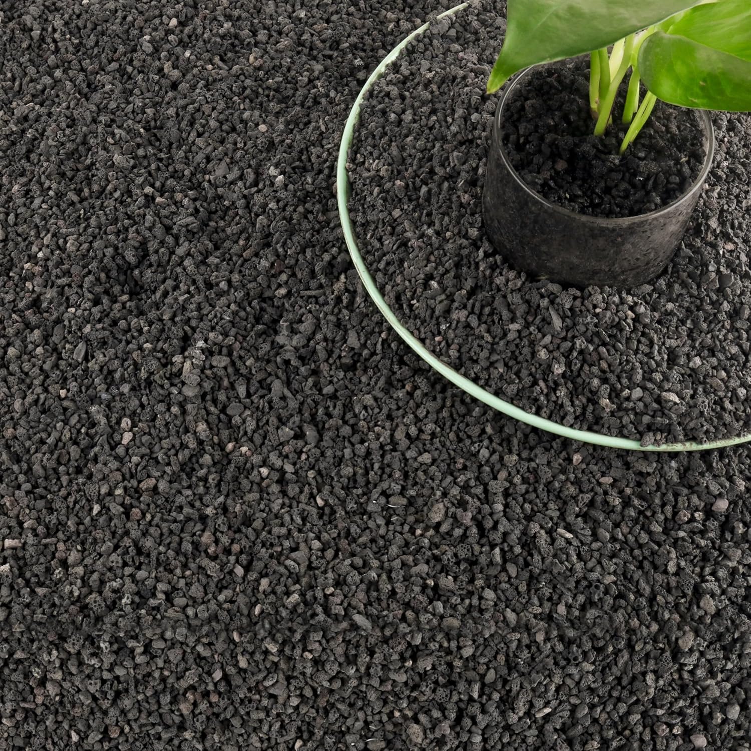 3 lb de matériaux filtrants no - Plant Aquarium Pot avis et prix