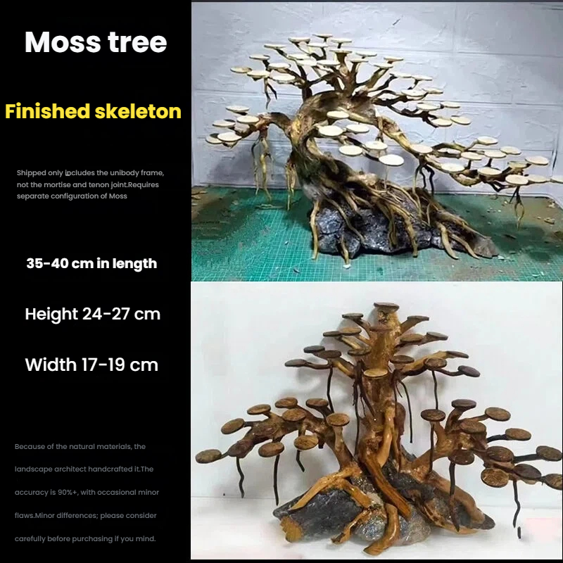 Décoration aquascaping : Ornem - Aquarium Moss avis et prix