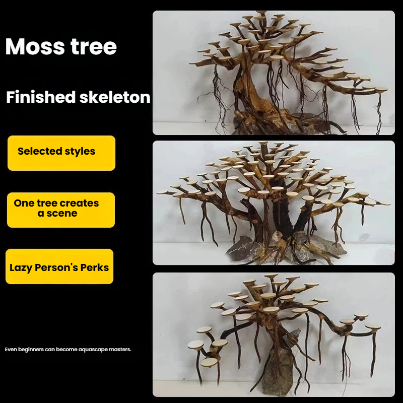 Décoration aquascaping : Ornem - Aquarium Moss avis et prix