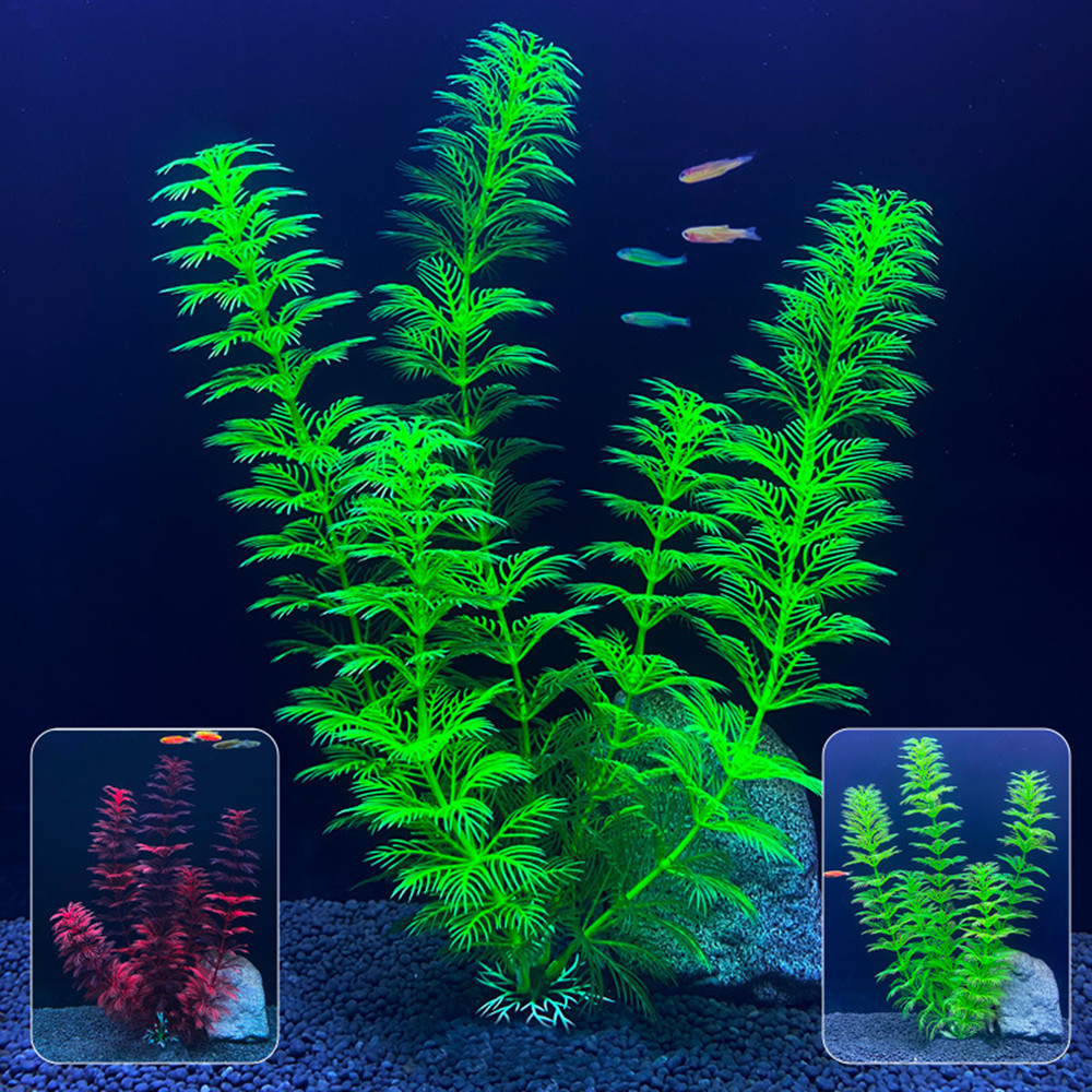 Plantes d'aquarium artificiell - Live Plant Aquarium avis et prix