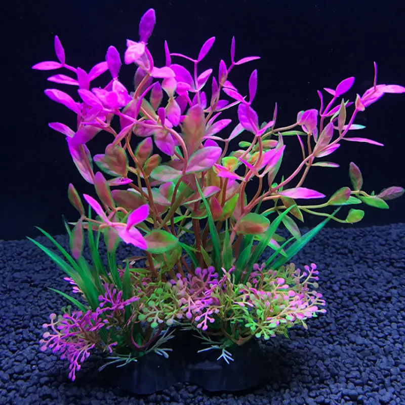 Aquarium artificiel décor plan - Live Plant Aquarium avis et prix