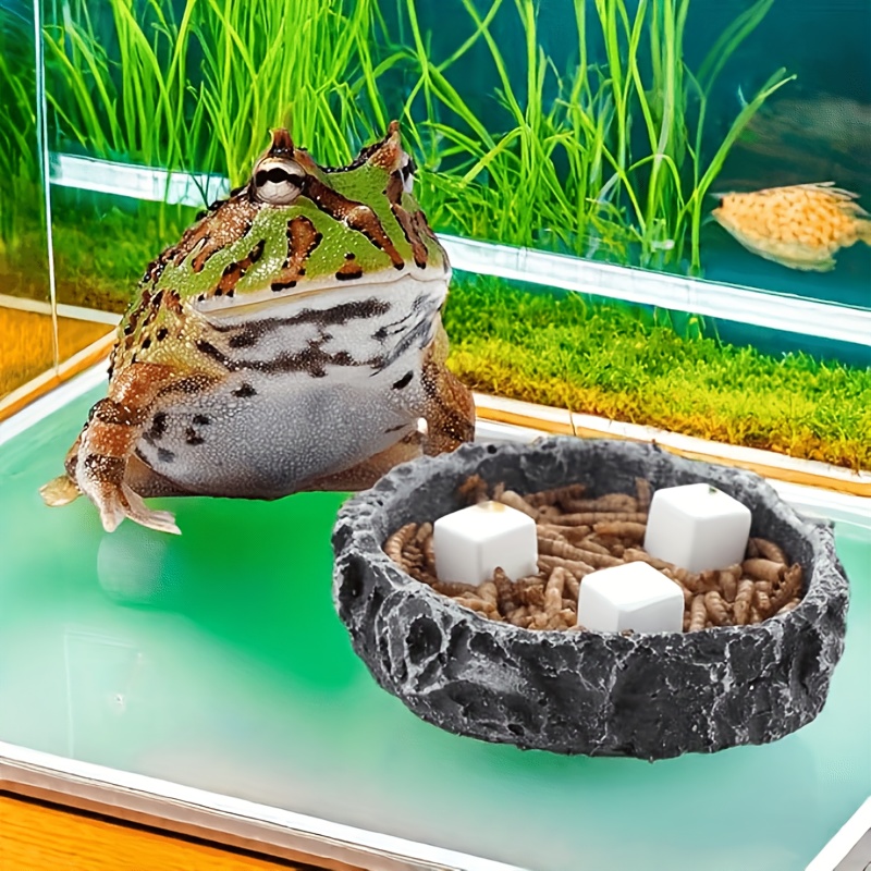 6 Blocs de Calcium pour Aquari - Aquarium Moss avis et prix