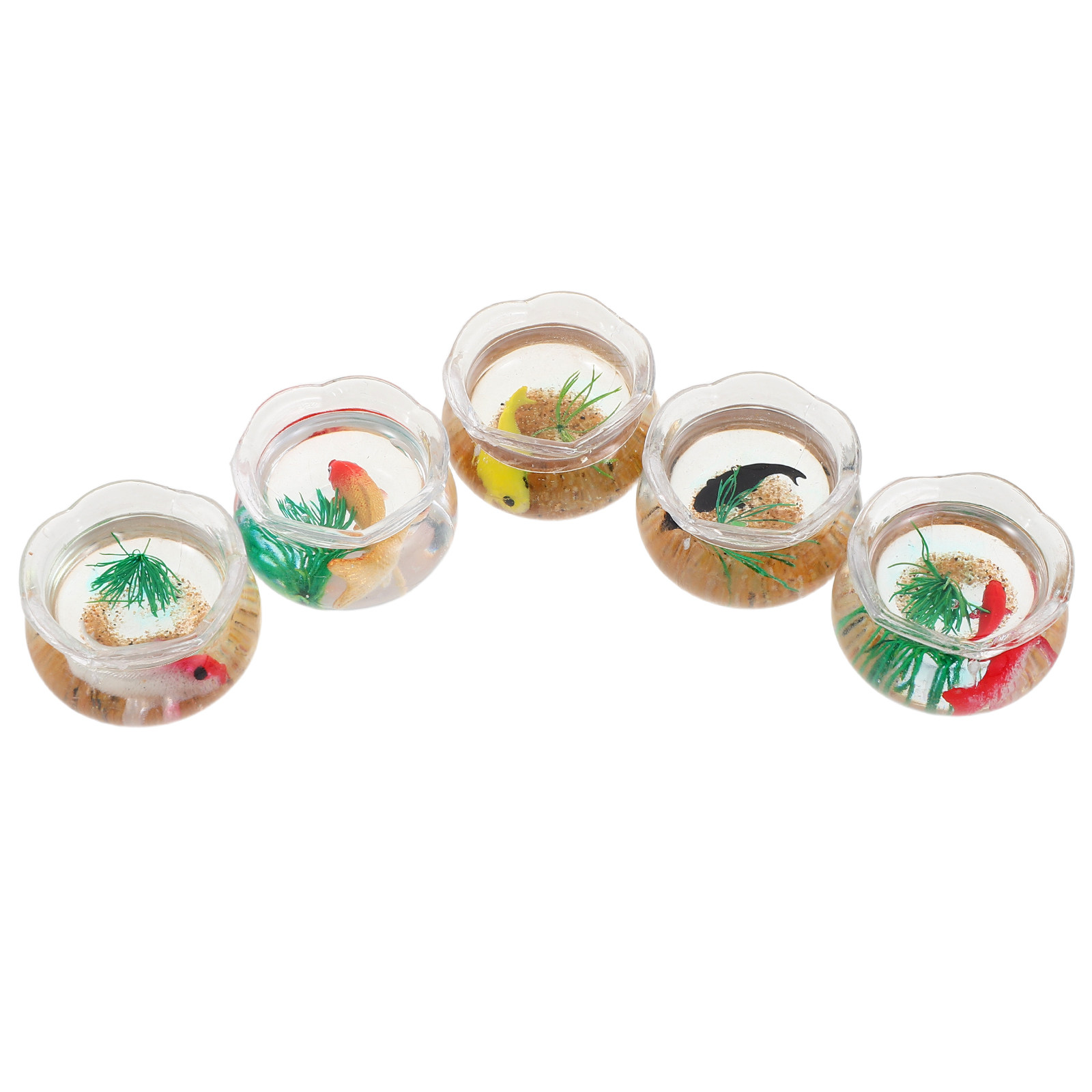 5 aquariums miniatures pour po - Planted Tank avis et prix