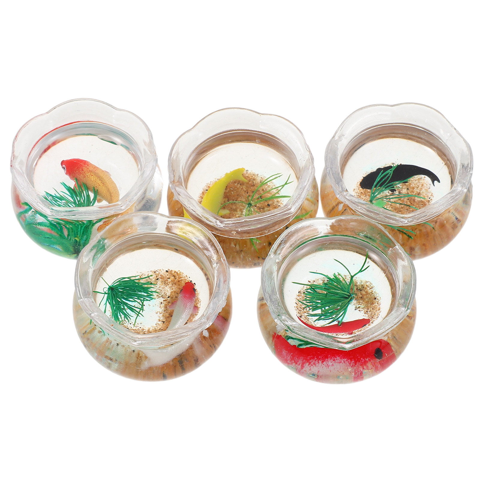 5 aquariums miniatures pour po - Planted Tank avis et prix
