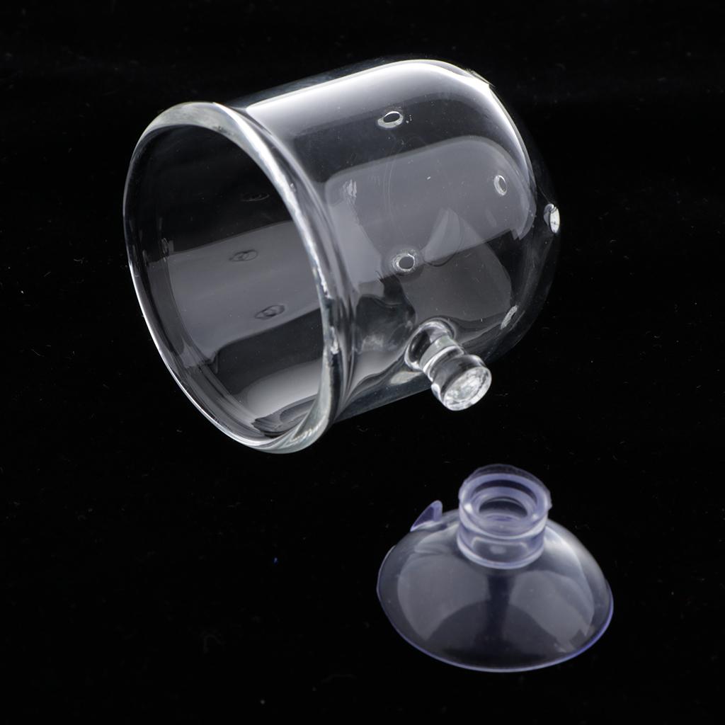 Panier d'alimentation pour poi - Live Plant Aquarium avis et prix