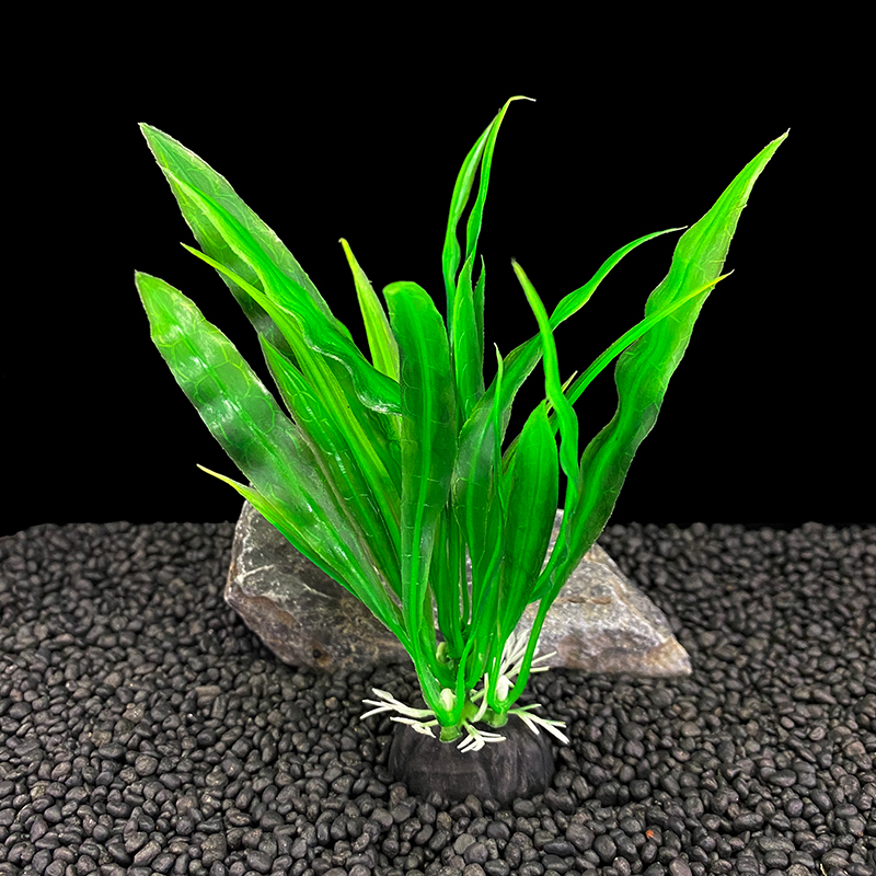 Lot de 6 plantes d'aquarium, d - Live Plant Aquarium avis et prix